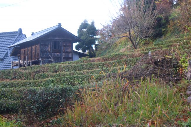 校舎の裏側<br /><br />学校園かな