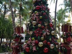 カラカウア通りを渡って、ロイヤルハワイアンセンターを抜けて戻る途中、こちらにも立派なクリスマスツリーが飾ってありました。