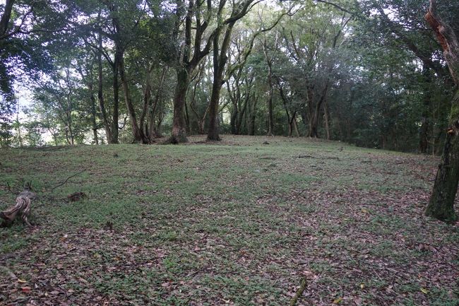 やぶ蚊に刺されながら登りましたが、この山はさほど高くもないのに安芸の平野を睥睨するのにちょうどいい。