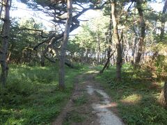 電車を虹ノ松原駅でおりて、海岸方向へ歩いて。途中で舗装道がなくなり焦る。サーフィンをしてきたとおっしゃる焼き物露店のきれいな女性に教えてもらって、道再発見。

ふむふむ、これが日本三大松原の1つ、佐賀、虹の松原ですか