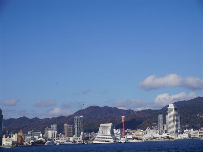 ロイヤルプリンセス、結構揺れました。<br />酔いそうな気配がしだし（かなり三半規管弱いです・・）、<br />酔わないよう、一人、ほぼデッキで過ごす。<br /><br /><br />気持ちよい景色(≧∇≦*)<br />