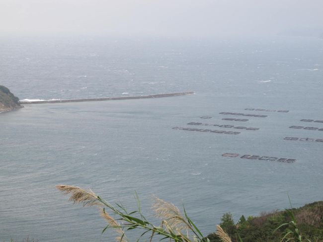 近ごろは、従来の養殖→出荷だけでは商いが難しいらしく、<br />品質保持のため、遊子でも「急速冷凍体制」を整え、品質の良い状態を維持しながら出荷できるようにされていた。<br />