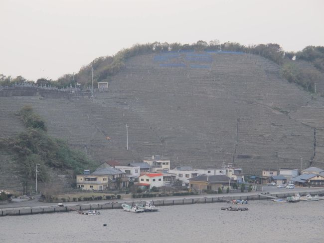 三浦半島・遊子・水荷浦に現存する「段畑」（＝段々畑）の見学にきました。