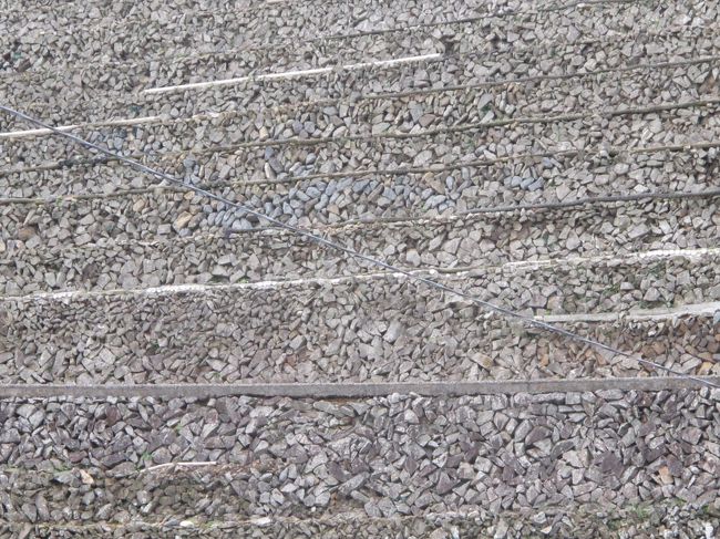 石を積み上げられた段畑