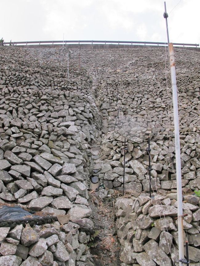 段畑の上部を眺めてみる。