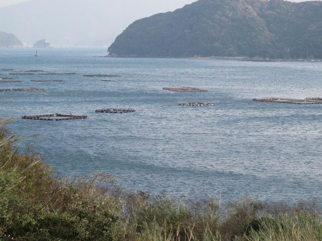 蒋淵地区も養殖が盛んの様子です。