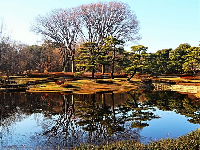 久し振りに皇居・東御苑を訪問②二の丸庭園～諏訪の茶屋まで