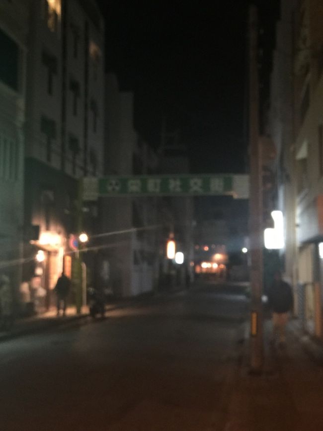 行きのタクシーの運転手さんから石垣島のペンギン食堂が近くにあるよ。と教えてくださったので散策したけど迷路でわからず断念。<br /><br />いざホテルに帰ります。<br />1日目終了