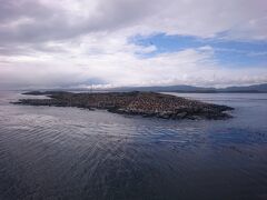 出発して10分もしないうちに何かが見えてきました。さらに近づくと・・。