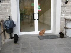 今日の観光　第一弾　ボマルツォ怪獣庭園。

猫が入口を占領している。