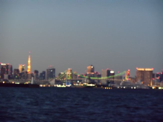 飛行機に大型船舶 夕陽に夜景と見所が満載の城南島海浜公園をぶらぶら 大森 大井町 東京 の旅行記 ブログ By てくてくさん フォートラベル