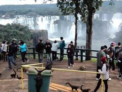 やっとイグアスの滝！！