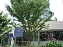 午前中に小石川後楽園と六義園を散策しました。
お昼からは国立新美術館（乃木坂）で開催されているルノワール展へ行きます。
今日のお昼は軽くにしておきましょう。
六本木へ移動しました。

駒込駅
↓東京メトロ　南北線
麻布十番駅

麻布十番駅から歩いて六本木ヒルズに到着しました。