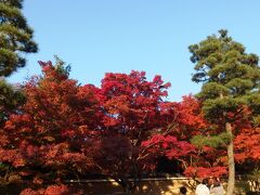 お次は昨年京都を訪れた際に魅了された「東福寺」へ。
伏見稲荷大社と東福寺はJR奈良線で一駅ですが、東福寺は駅から伏見稲荷大社方面へかなり歩くので、徒歩で向かって見る事にしました。
地図で見ると1km強、20分くらいで到着するかと思いきや、渋滞する狭い道路の脇を食べ歩きしながら歩いていたら、かなり時間がかかってしまいました。