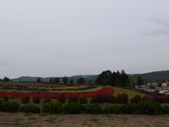 ちょっとお天気の方は曇ってしまったようだ。
写真も暗い。このアングルで晴天時は山々が見えるのだけど雲で隠れた。