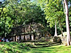 そんなマニアック・メキシコ旅の3日目は、パレンケの街を起点とするヤシュチラン（Yaxchilan）遺跡・ボナンパック（Bonampak）遺跡（於ラカンドン密林）へ行く現地ツアーへの参加。
これらの遺跡には本当は個人で訪れたかったのだが、行く先がメキシコ内でもかなり特殊な地域で、プライベートで行くには難しい場所だった。

参加したのはKichan Bajlum社のツアー（日本からメールで予約）。
朝6時にパレンケの宿：Posada Aguila Real前でピックアップされ、ツアーが始まった。
ラカンドン密林へのツアー内容(コース・料金・安全性・時間等）の詳細はクチコミ↓http://4travel.jp/overseas/area/latin_america/mexico/bonampak_and_yaxchilan/tips/12206871/

ツアーは夜8時までかかる14時間ツアーで、午前中はヤシュチラン遺跡を歩き回り、昼食後はボナンパック遺跡を見学する。
（ヤシュチラン遺跡の旅行記：http://4travel.jp/travelogue/11124868）

この旅行記の始まりはボナンパック遺跡へと向かうところから…。

（写真：ヤシュチラン遺跡入口にある暗闇ラビリンス）
