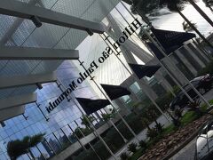 【ヒルトン・サンパウロ・モルンビー（←地区の名前）・ホテル】

ブラジルは、全体的に市販されているベット用マットレスが、えらく柔らかい。

それは、ブラジル人の体つきが出ているところは出て、凸凹がはっきりしている為....。

扁平な体形を持つアジア人には、この柔らかいベッドは合わない....特に腰痛の時は...もう駄目、寝てられない....