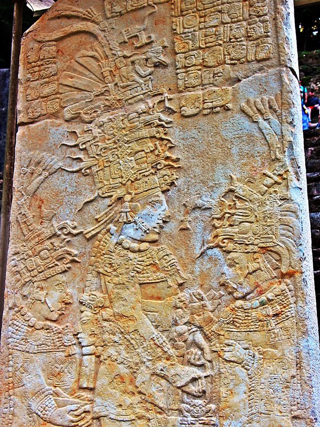 アクロポリスと呼ばれる階段状の神殿からは、ステラ(石碑)2とステラ(石碑)3が出土していて、この写真は石碑2。<br /><br />石碑2には、私も興奮した。<br /><br />この石碑には3人が彫り込まれていて、左から王の妃、王（チャン・ムアーン二世王）、王の母となる。<br /><br />そして、この石碑が表しているのはマヤの聖なる儀式である放血の儀式。<br />マヤ文明では、王の血には聖なるものが宿っているとされ、王の日々の仕事の一部には王族の血液を神に捧げる…というコトも含まれていた。<br />更に、その放血作業は指を切って血を出す…なんていう簡単な事では許されず、苦痛を伴う方法でなければならなかったらしい。
