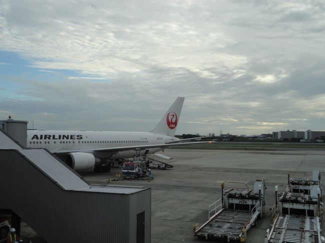 2ヶ月後は沖縄だなー、なんて考えていました。