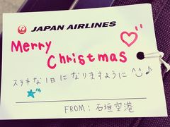 羽田に到着して荷物を受け取ったら見慣れないタグが付いていて、石垣空港のスタッフからの手書きメッセージが添えてありました。
これはとても嬉しいです。

また行きます。