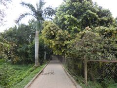 そのまま、象を見に行かないかと言われました。

バックパックを車の中に置いてきていたので、長時間車から離れている間に車上荒らしにあったらマズいなぁ…と思いつつ、誘いに乗ることに。
大仏が置かれている一帯と、交通量の多い道路を一本隔てた向こう側に、こんな何もない道があります。