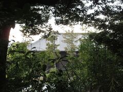 こちらが、正真正銘校倉作りの正倉院です。
お正月期間を過ぎると、もう少し近付く事が
出来るそうです。通り掛かりのご近所さんだ
というおじさまが教えて下さいました。