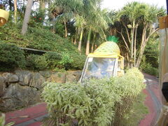 沖縄の観光施設は５時頃には閉まる所が多いのでお隣にあるパイナップルパークに立ち寄りして本日の観光は一旦終了。

久しぶりに来たら以前と少し変わっていました。
駐車場が遠くなってそこからパイナップルのバスで送迎。
せっかちな　まぁちゃんは若干イライラ
わざわざ遠くへ連れて行く事ないのにって。ごもっともです。

施設に到着後は今まで通り、こちらのカートでパイン園内をめぐります。
今年はパイン不作だそうです。殆ど実がなっていませんでした。

かつては、ここの接客さん　グイグイ押してくる感じでしたが、今回は全く声掛けも無し。
自由に商品を見られるので嬉しいです。
これって海外からのお客さんが増えた影響かな？

ここの果肉が入ったパイナップルのカステラやケーキ美味しいと思います。