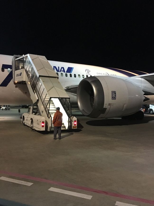 沖止めでした（汗