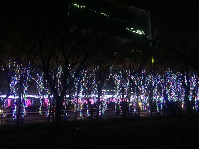 国債報償記念公園に向かいます。<br /><br />イルミネーションがとてもきれいです。