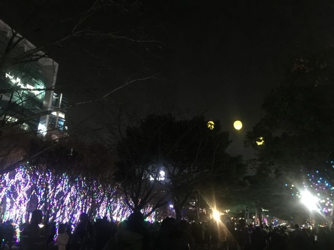 奥の光の見えるところで除夜の鐘が。<br /><br />人が殺到してきたので早めに、戻ります。