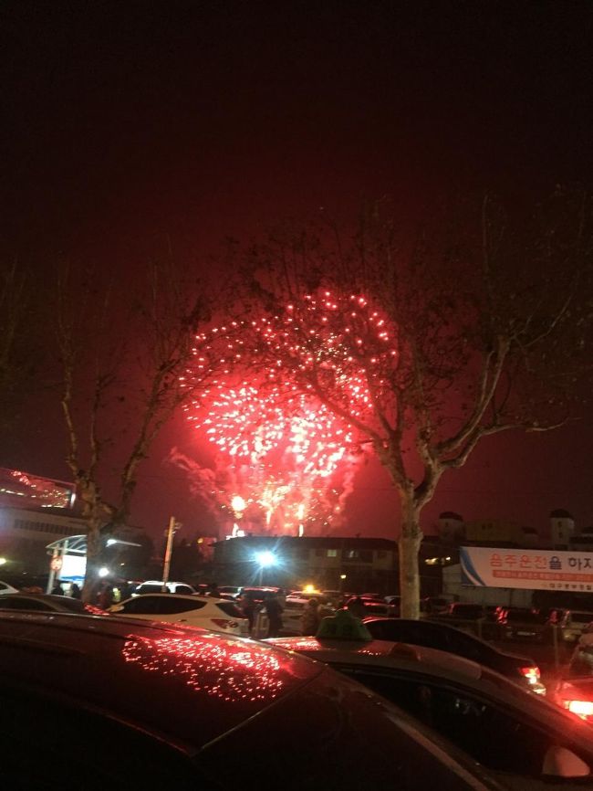 わーい。<br /><br />最近地元でも気軽に花火は見れないので、よかった～