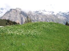ケーブルカーに乗ったら４分で頂上に到着です。スイスでは、どこも
一気に登れて良いですね(^O^)

