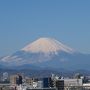 今年も伊豆のお正月