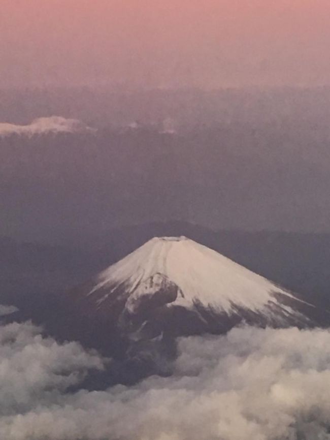 朝日で赤く染まった富士山がきれいに見えました。