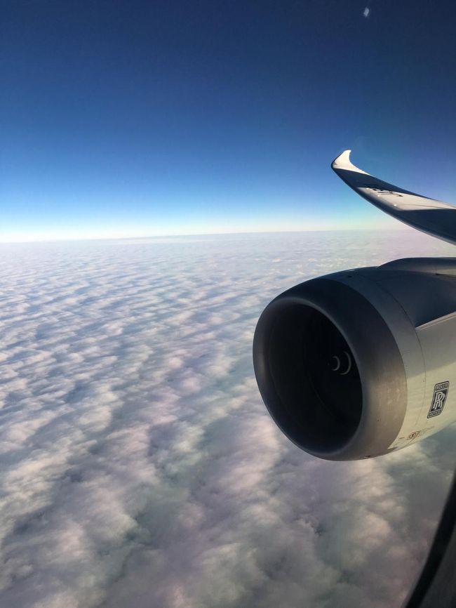 すごい追い風みたいでかなり早く到着