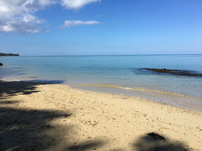 浜遊びするには少し狭いかな。小さいヤドカリはいっぱいいましたね