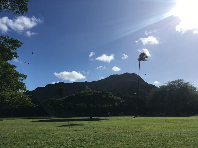 すぐ隣の公園へ