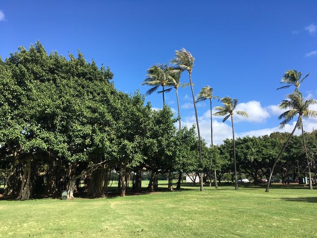 広くて人も少なくて気持ちがいい