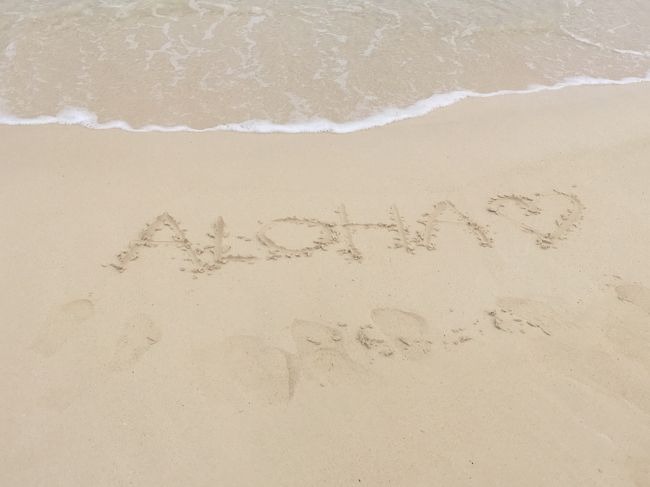 今日は少し曇っていたし、風も強かったので、いつかまた来たいな