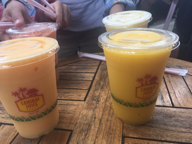 うーーん。イマイチ。。この旅で唯一のハズレかな。選んだ味がわるかったのかな？<br />カイルア途中ですが、5に続く。<br />読んでいただきありがとうございました。