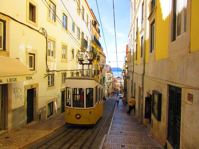 こちらはビッカ線のケーブルカー。<br />ここの景色が一番リスボンぽくて大好きです(^^)v