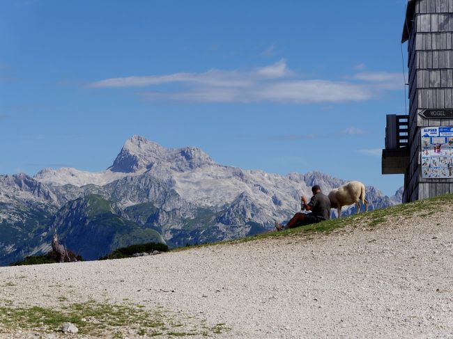 16 8スロベニア イタリア旅行6 Vogelスキー場にロープウエイで登る トリグラフとユリアンアルプスの素晴らしい景色 ブレッド湖周辺 スロベニア の旅行記 ブログ By Suomitaさん フォートラベル