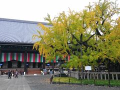 2日目！
今日はお昼から大阪在住の妹も合流します。

合流前にちょっとだけ西本願寺へ。
天然記念物の大銀杏はまだ少し緑が残っていましたが、その見事な枝ぶりは圧巻！