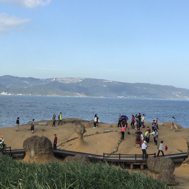 女王様。近くまで行かず…(｡>ㅿ<｡)