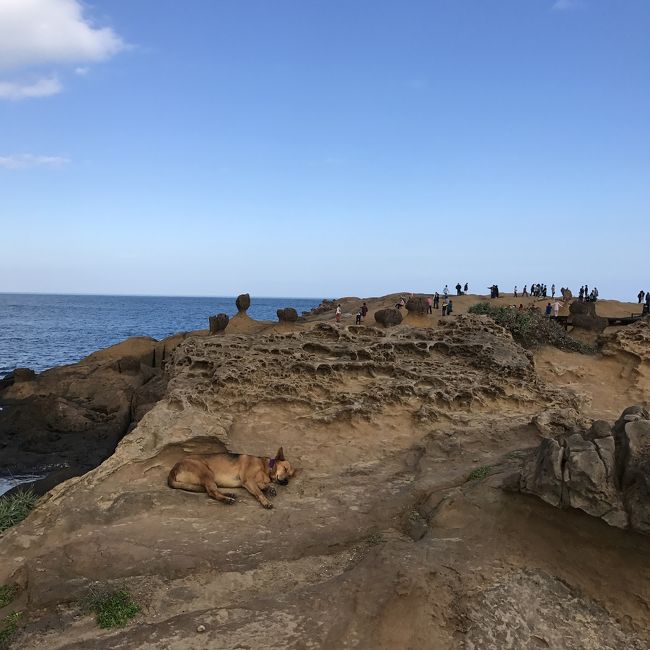 え…？(´-ι_-｀)