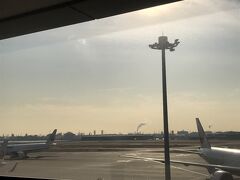 羽田空港へ。