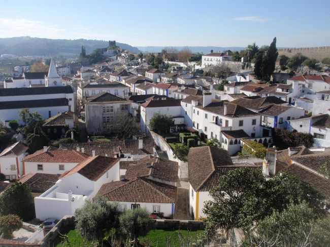 城壁から街を望む。