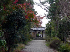 住宅街をてくてく歩いて次に通りかかったのは海龍王寺。
こちらには、国宝の五重小塔とかがあるらしいです。（←寄れよ）