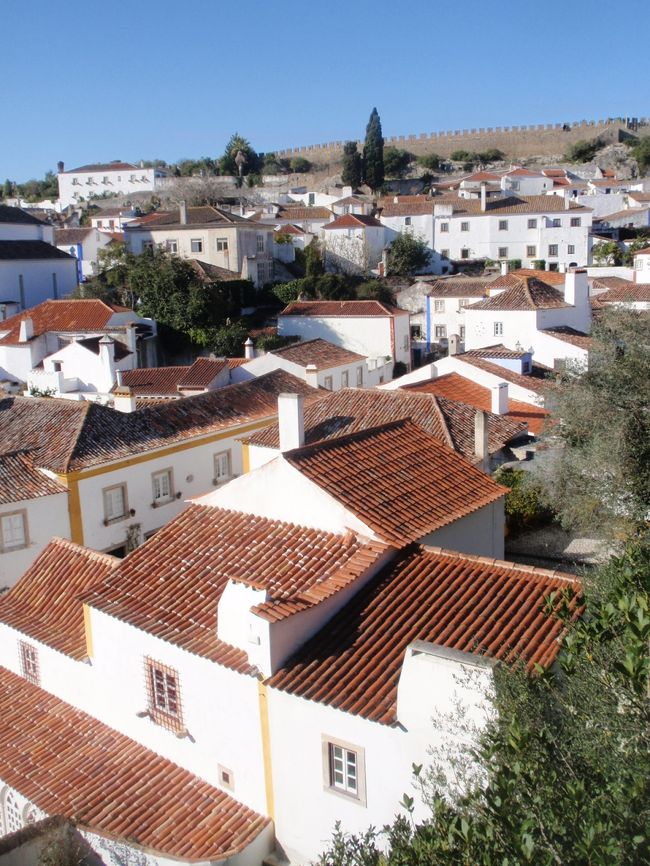 城壁は、街をぐるりと一周しています。遠くに、取巻きの城壁が望める。