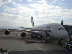 きゃぁ～～～、今日はA380だ！
でも、エコだから1階席なの、2階席に乗りたかったな